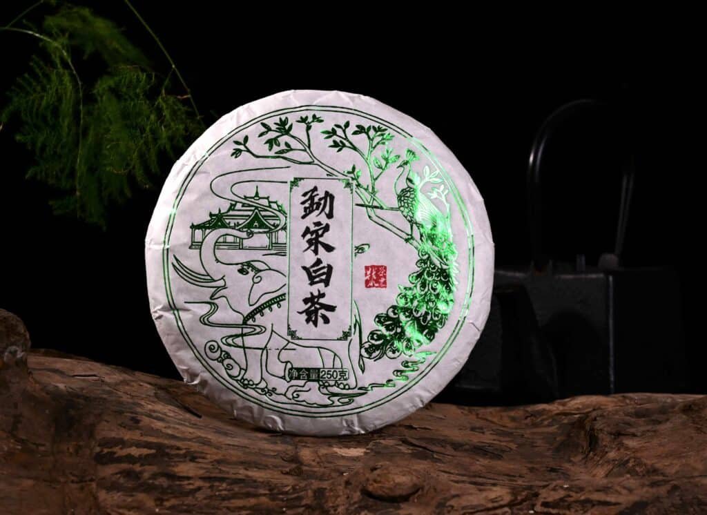 DSC 0101 0412d4db 06a2 4c91 be11 3150af6f74c5