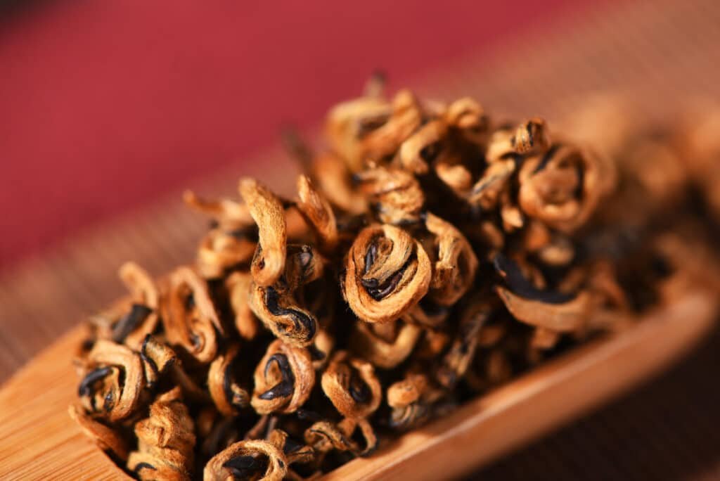 DSC 0510 49adaf9f d118 43a3 a626 312510ae341c