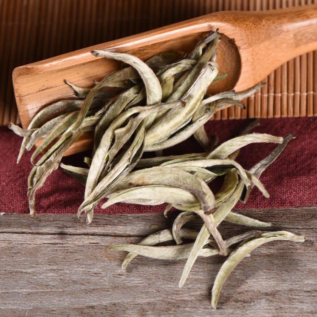 thumb1 8bbad4b6 2b3f 45cd bcda f64e37c730fc