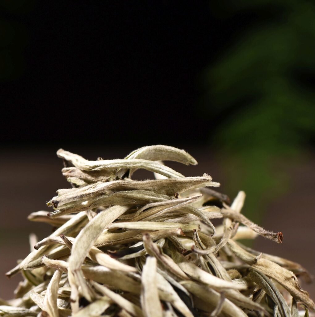 thumb2 15f68efa 70aa 44d6 9d18 b12b1c3306eb