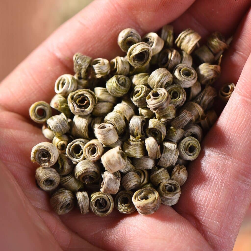 thumb2 f1c36e55 dd3c 44b2 b821 eaed8ef5e850