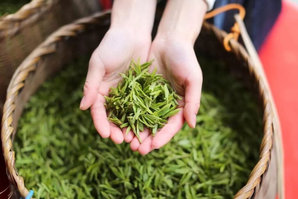 chinese tea west lake longjing shop onlien